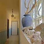 Akrotiri *