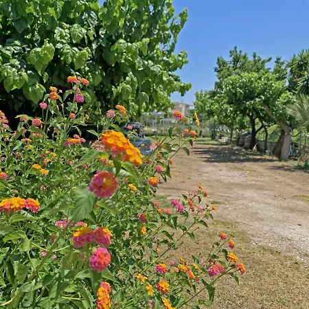 Akrotiri Διαμέρισμα *