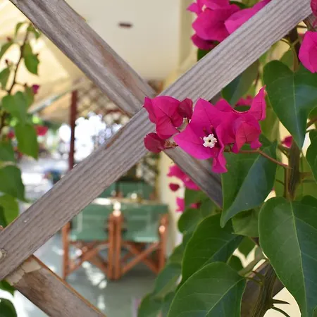 Apartment Akrotiri Rooms *